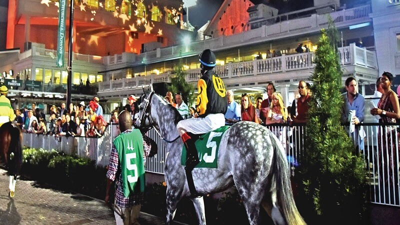 Downs After Dark Tickets Discount